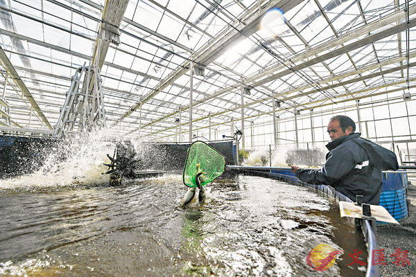 �������i�ުO���污�u�@��C�v�A�Q�����^�h��3%�C ��ƹϤ�