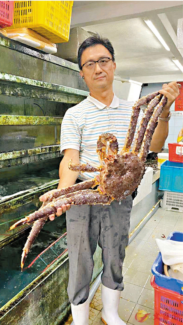 ���Q�����A�T���������q���ƪ��i����