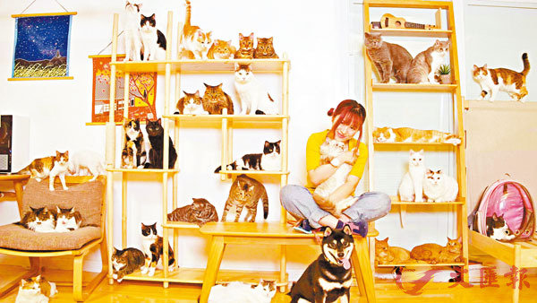 ���p�M�o��33���d���u�D���v�C���X�̨ѹ�