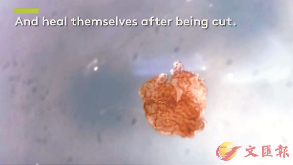 �� ��Ǯa��s�X�Ӫ���������H�A�Q���}���ۦ�¡�X�C ��X�S�j�Ǽv���I��