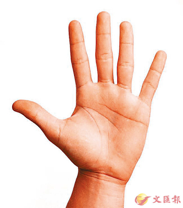 ������o�¥X�{�A�w�ܤ@�ǯe�f�o�͡C