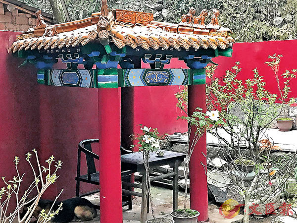 ���ئ��᪺�P�G�c�P�ڪ��g�f���c�F�l�C���X�̨ѹ�