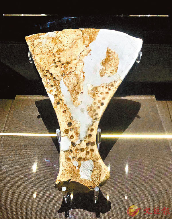 ���ӥN�j�����R��