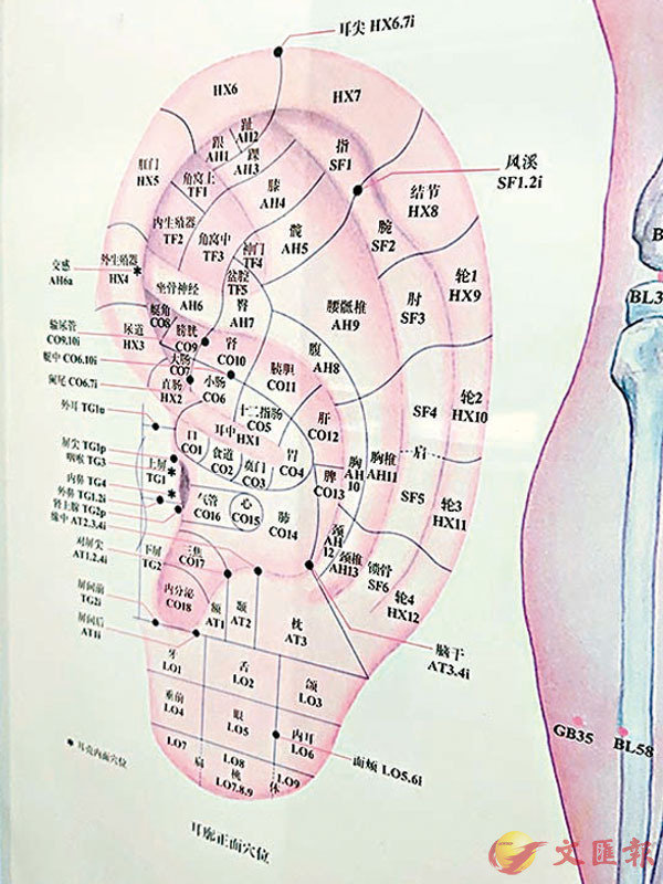 ���եޱ��ϡA�i�t�X�եުv���C