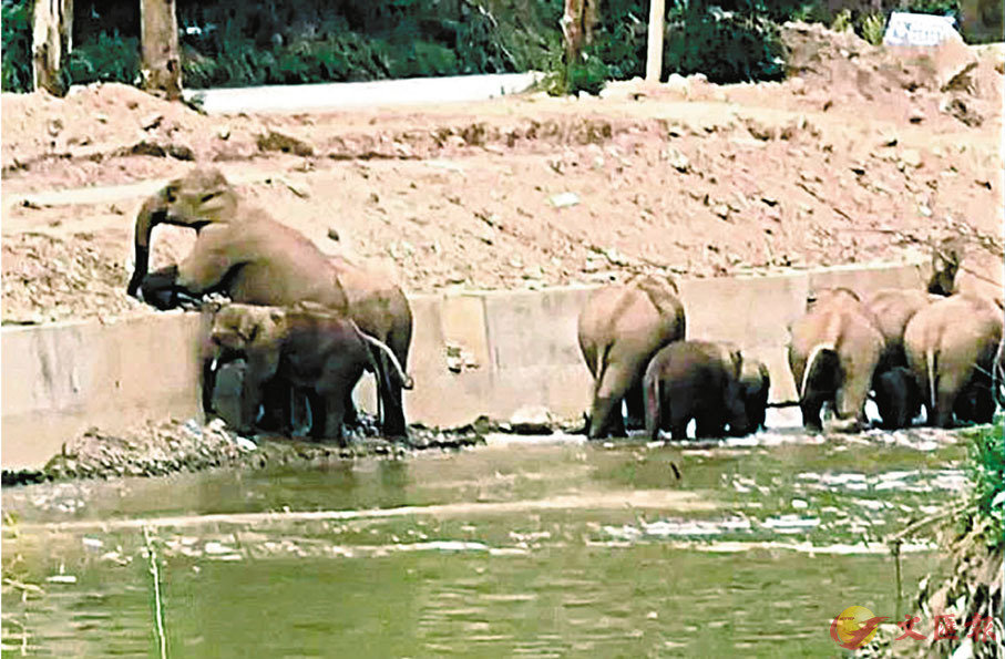 ���H�s���b��e�C