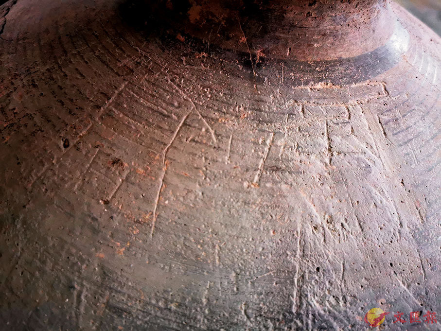 ���������u�s�F�v�G�r�M���i���C