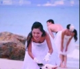 ������Ů���빷���л���