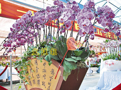 太空兰花下月亮相维园