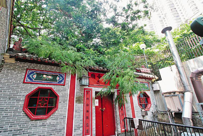 湾仔北帝庙 离奇断树干