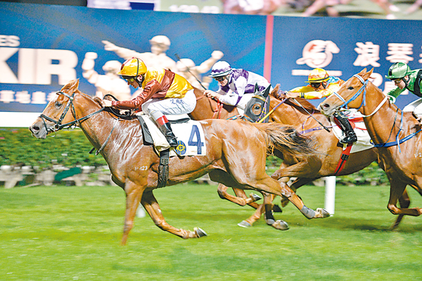 文汇报 > 马经 > 正文 讲番潘顿今次骑「风采」